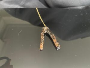 sea pendant 2